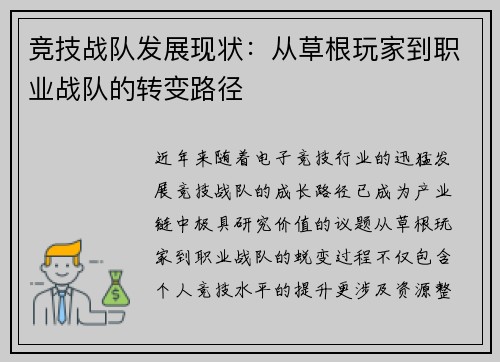 竞技战队发展现状：从草根玩家到职业战队的转变路径